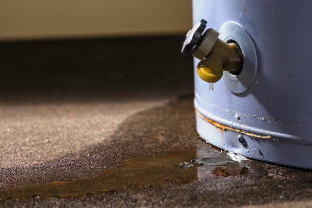 Best Water damage cleanup near me  in Lemont, PA
