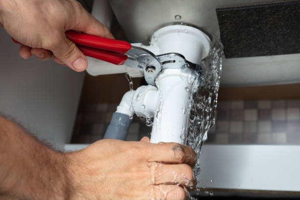 Best Local water damage restoration  in Lemont, PA