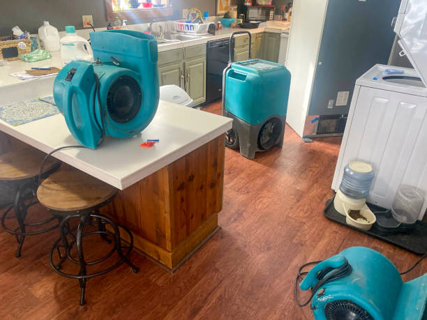 Best Carpet water damage restoration  in Lemont, PA