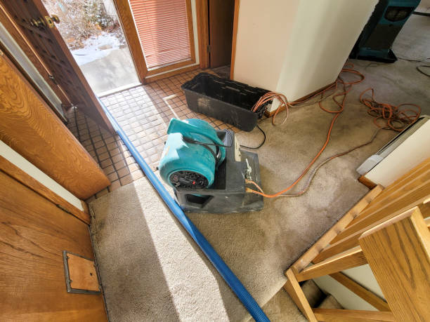 Best Professional water damage repair  in Lemont, PA