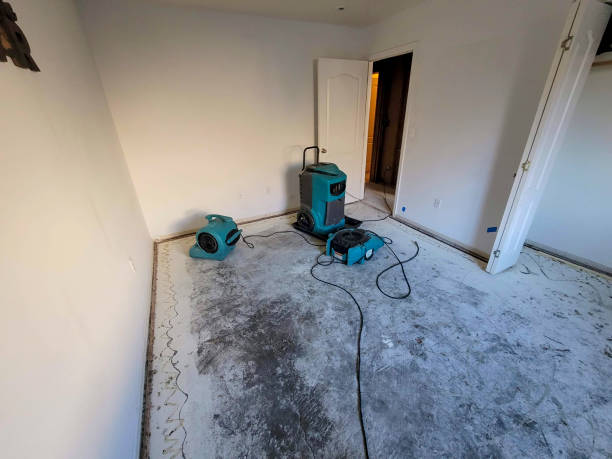 Best Residential water damage restoration  in Lemont, PA