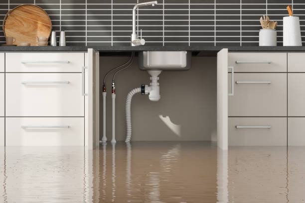 Best Water damage restoration near me  in Lemont, PA