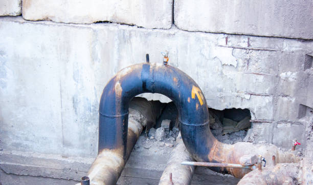 Best Professional water damage repair  in Lemont, PA