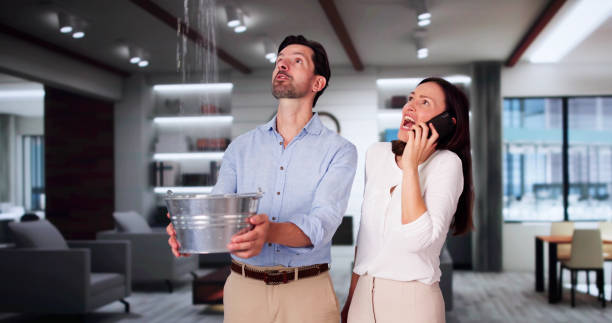 Best Basement water damage restoration  in Lemont, PA
