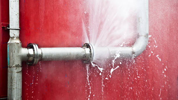 Best Ceiling water damage repair  in Lemont, PA