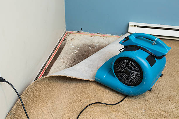 Best Water damage restoration specialists  in Lemont, PA
